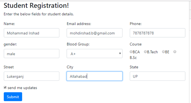 Data Binding To A Model In Angular